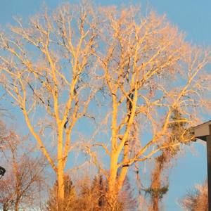 Meet your Posher, Joan marie